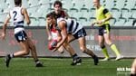 2019 Preliminary Final vs West Adelaide Image -5d750a4f3babb